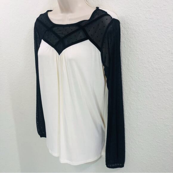 NWT August Silk Cream and Black Lace Top - Picture 3 of 16